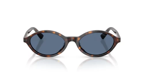 500280 - Havana frame / Blue lenses