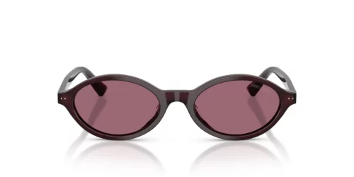Jimmy Choo  JC5068U Violet