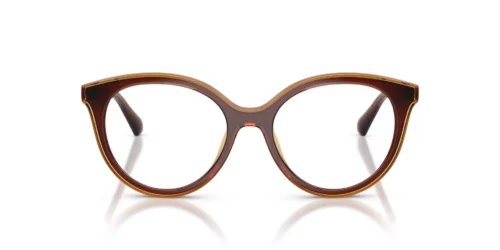 3113 - Dark Brown frame / Clear lenses