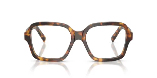 14L1O1 - Havana Honey frame / Clear lenses
