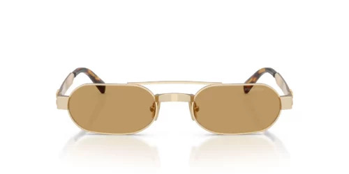 22M10Y - Ancient Gold frame / Brown lenses