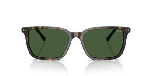 Polo Ralph Lauren PH4226 Verde Garrafa