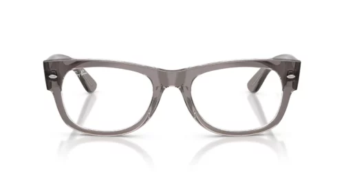 8111 - Transparent Grey frame / Clear lenses