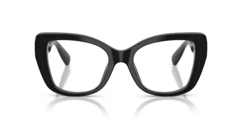 Swarovski  SK2066U Black Frame