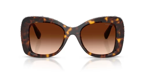 109474 - Havana frame / Gradient Brown lenses