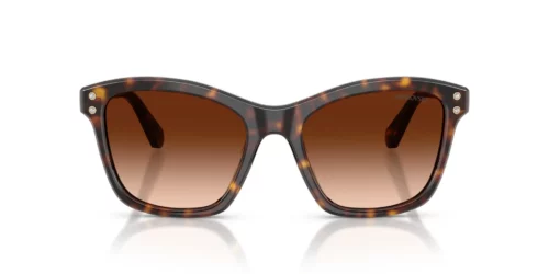 Swarovski  SK6063 Gradiente Marrom