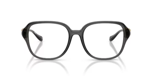 5483 - Opal Grey frame / Clear lenses