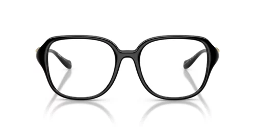 GB1 - Black frame / Clear lenses