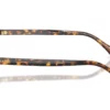 Versace  VE3393D Havana Frame