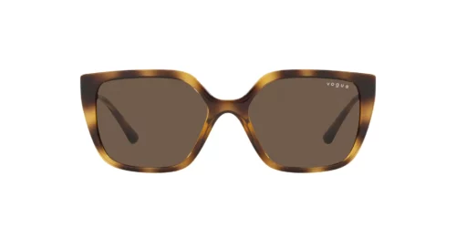 W65673 - Dark Havana frame / Dark Brown lenses