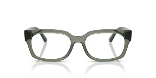 3086 - Transparent Mallard Green frame / Clear lenses