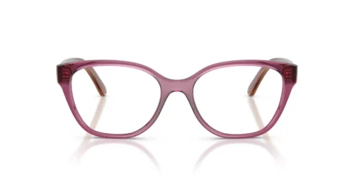 3227 - Transparent Purple frame / Clear lenses