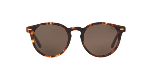 535173 - Shiny New Jerry Tortoise frame / Brown lenses