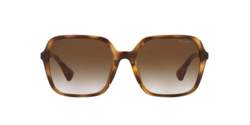 500313 - Shiny Dark Havana frame / Gradient Brown lenses