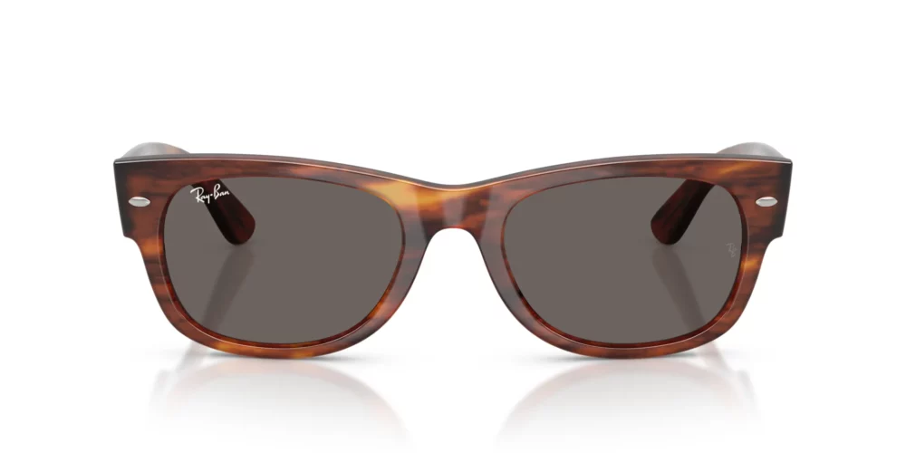 Ray-Ban Mega Wayfarer Ii RB0832S Dark Grey front view