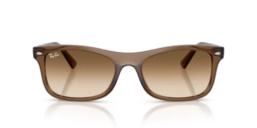 664051 - Transparent Light Brown frame / CLEAR GRADIENT BROWN lenses