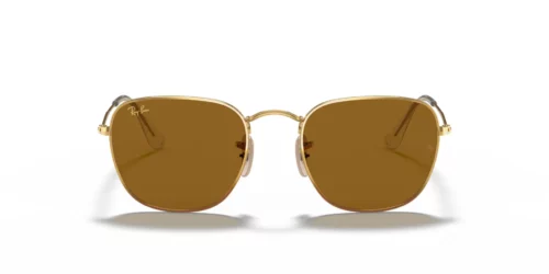 919633 - Legend Gold frame / B-15 Brown lenses