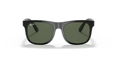 100/71 - Black frame / DARK GREEN lenses