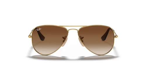 223/13 - Arista frame / Brown Gradient Dark Brown lenses