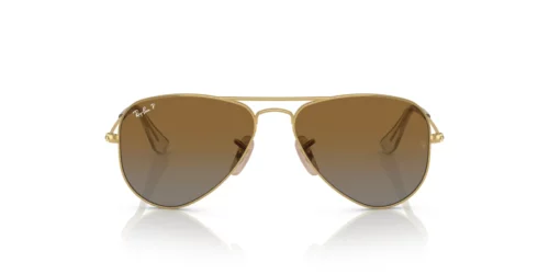 223/T5 - Arista Gold frame / Brown lenses