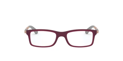 3789 - Matte Trasparent Fuxia frame / Clear lenses