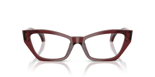 5512 - Transparent Bordeaux frame / Clear lenses