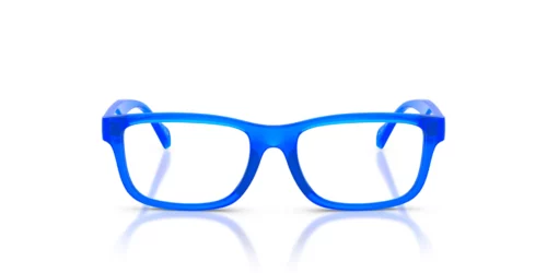 5536 - Royal Blue Transparent frame / Clear lenses