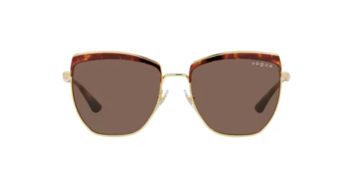 507873 - Top Havana/Gold frame / Dark Brown lenses