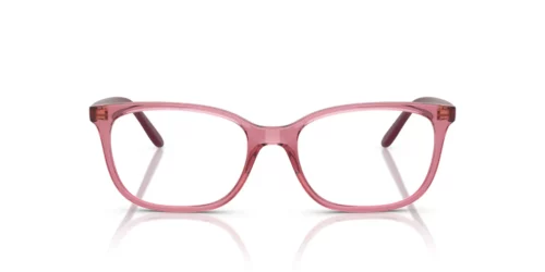 3065 - Transparent Purple frame / Clear lenses