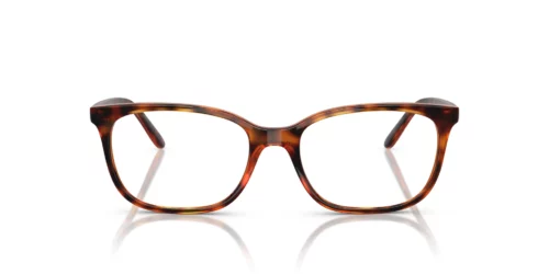 W656 - Dark Havana frame / Clear lenses