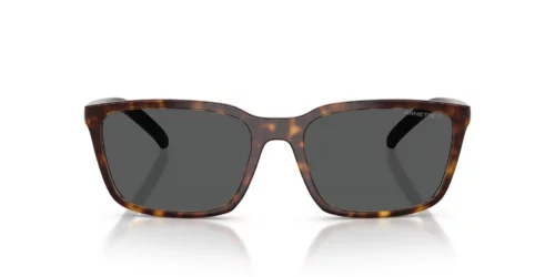 Arnette An4311 AN4311 Dark Grey Polarized
