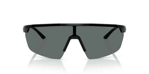 290081 - Black frame / Dark Grey Polarized lenses