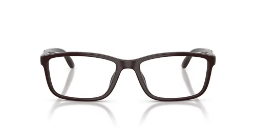 Arnette  AN7294U Chocolate