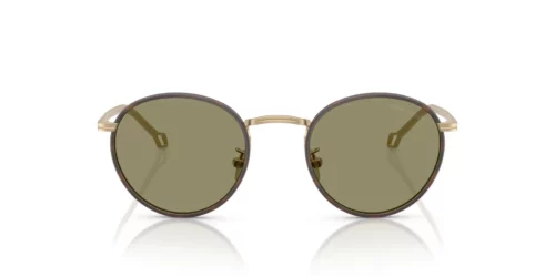 Giorgio Armani  AR6163J Green