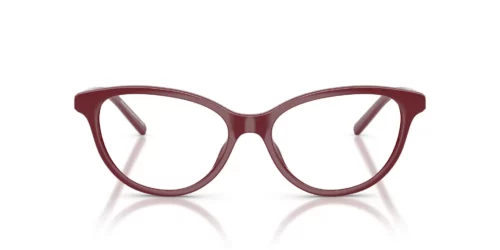 8387 - Shiny Bordeaux frame / Clear lenses