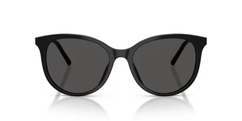 Dolce & Gabbana  DG4540 Dark Grey