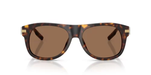 Dolce & Gabbana  DG4546 Dark Brown