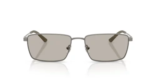 Emporio Armani  EA2169 Lichtbruin