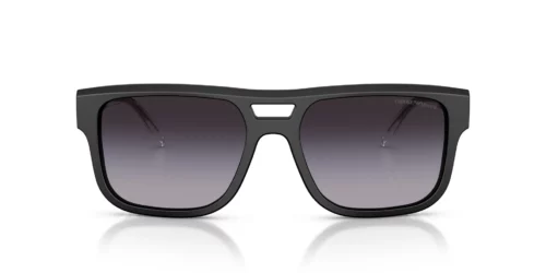 Emporio Armani  EA4197 Grey Gradient