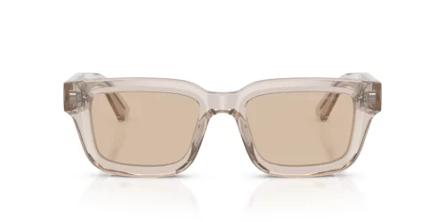 636393 - Shiny Transparent Tundra frame / Light Brown lenses