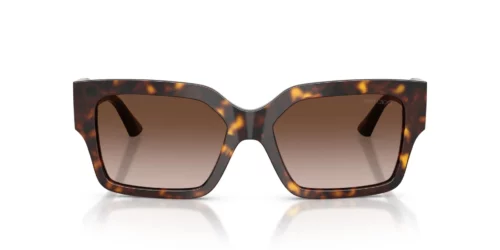 Jimmy Choo JC5058JU Dégradé marron