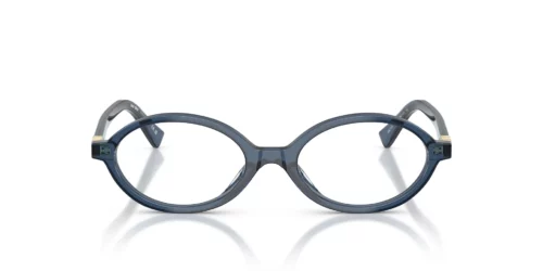 08Q1O1 - Blue Crystal frame / Clear lenses