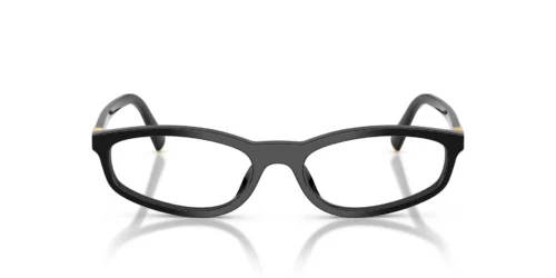 Miu Miu  MU01ZV Black
