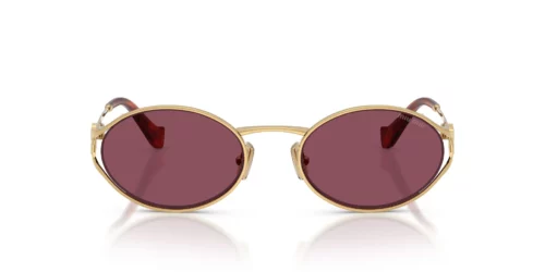5AK20Y - Gold frame / Dark Violet lenses
