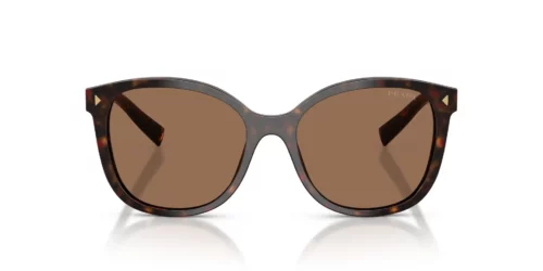 17N06B - Tartaruga Radica frame / Dark Brown lenses