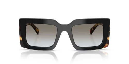 0CD80L - Black/Medium Tortoise frame / Grey Gradient lenses