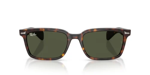 Ray-Ban Brunel RB2234 Dark Green