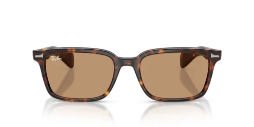 Ray-Ban Brunel RB2234 Brown