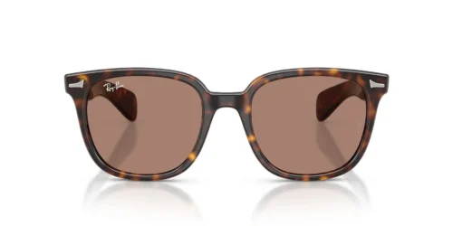 Ray-Ban Brunel Ii RB2235 Light Violet