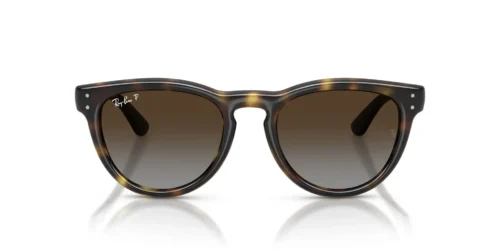 Ray-Ban  RB2237 Polarized Light Grey Gradient Brown